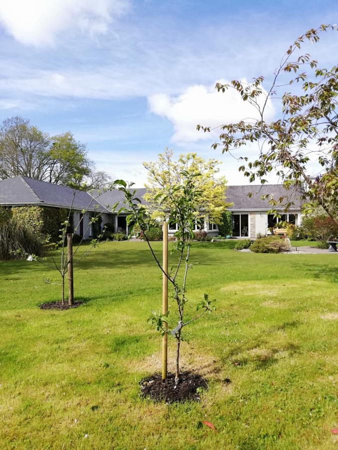 Applecroft House Bed & Breakfast Killarney Bagian luar foto