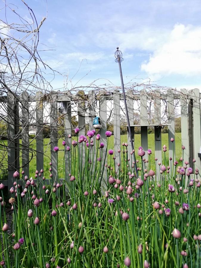 Applecroft House Bed & Breakfast Killarney Bagian luar foto