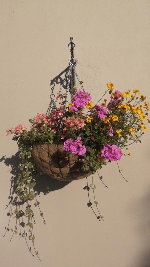 Applecroft House Bed & Breakfast Killarney Bagian luar foto