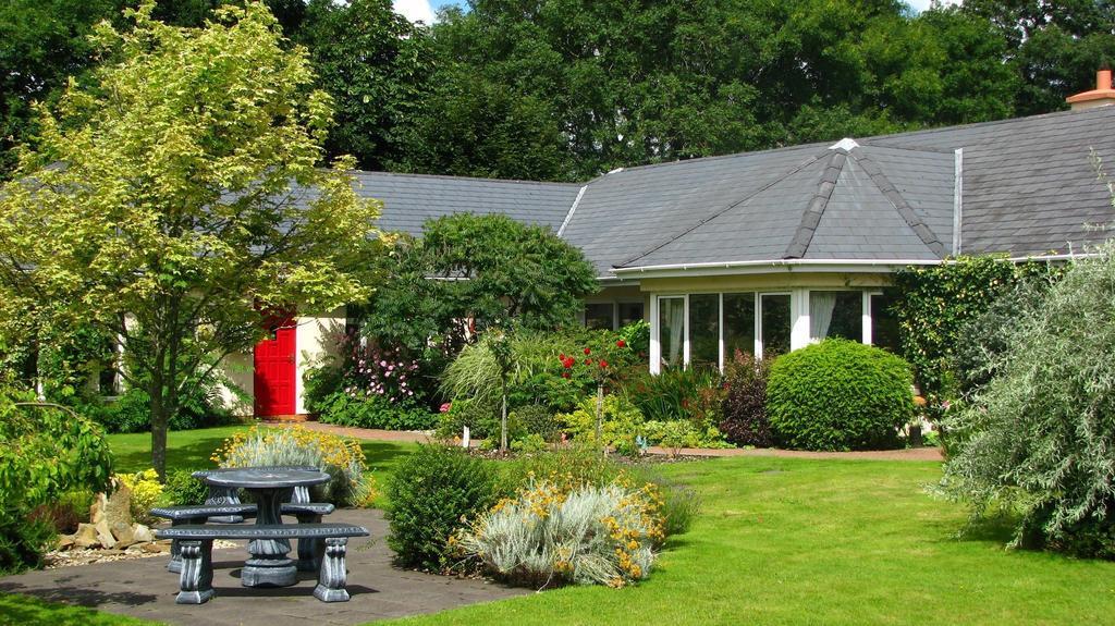 Applecroft House Bed & Breakfast Killarney Bagian luar foto