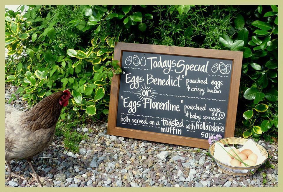 Applecroft House Bed & Breakfast Killarney Bagian luar foto