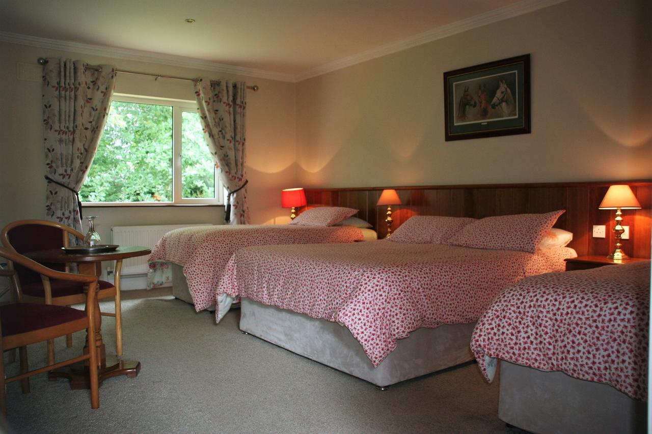 Applecroft House Bed & Breakfast Killarney Bagian luar foto